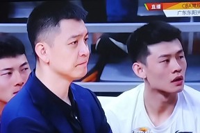 九州体育官网-辽宁队反击无果，顶级对手欲挑战必备底气的简单介绍