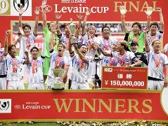 某支球队什么意思 某支球队什么意思