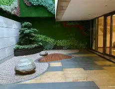 天津泰达客场战平深圳佳兆业，保持不败