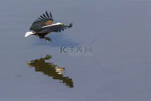 桑德兰主场大胜埃弗顿,逐渐脱离降级区了吗 桑德兰主场大胜埃弗顿,逐渐脱离降级区了吗